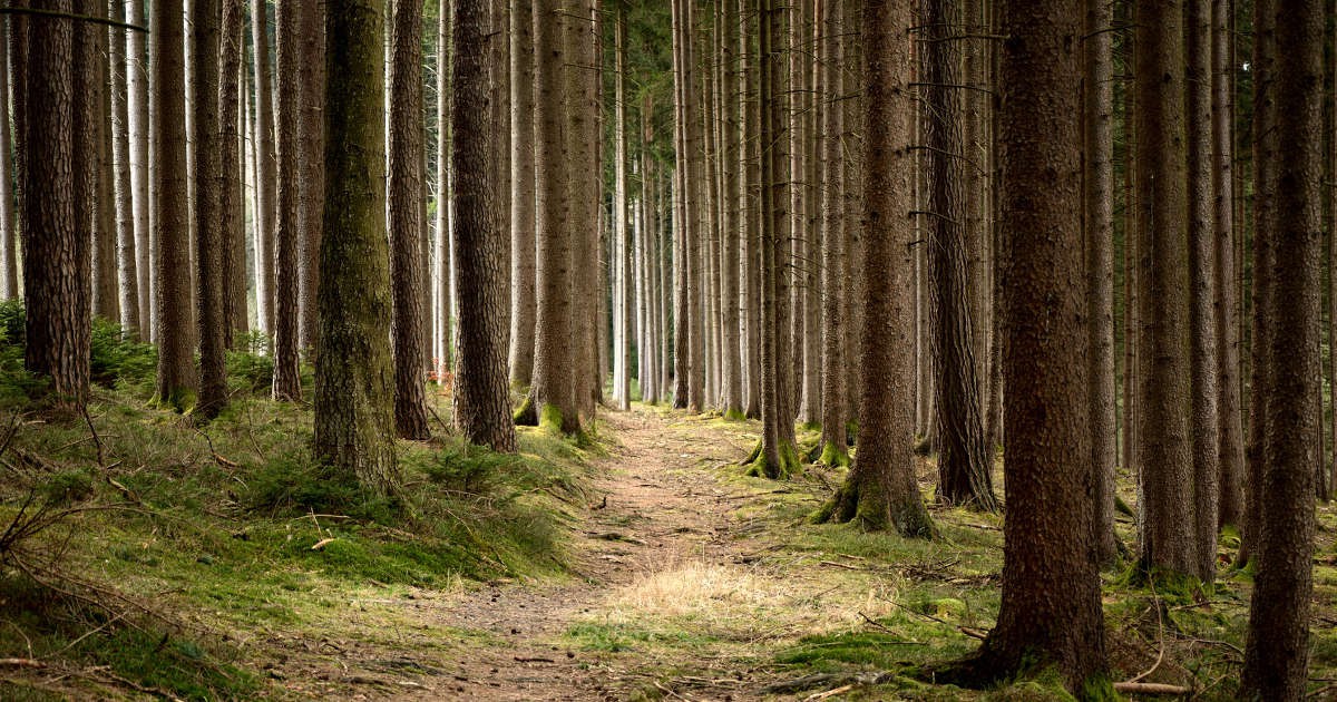 Paderborn – Meine Stadt!