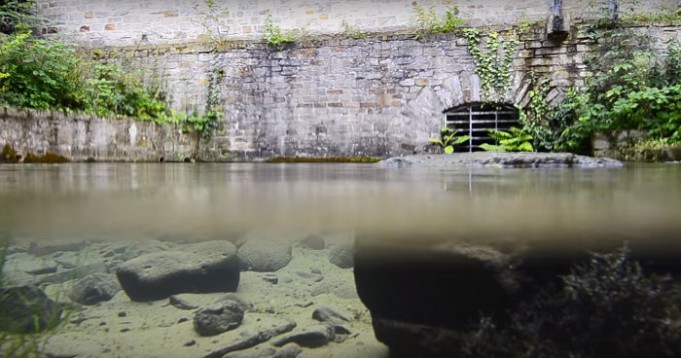 Kurzfilm über die Pader und ihre Quellen