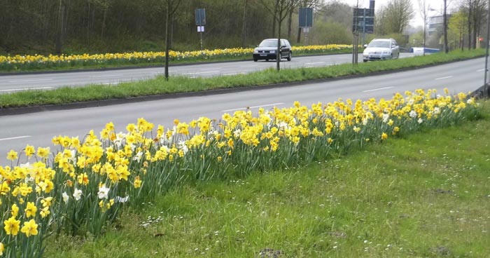 Blumen Heinz Nixdorf Ring Paderborn