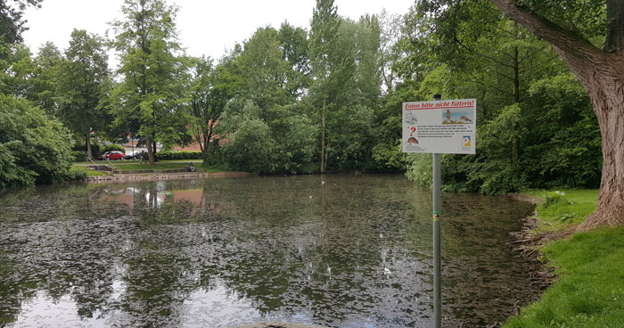 Fütterung von Wildvögeln verboten in Paderborn