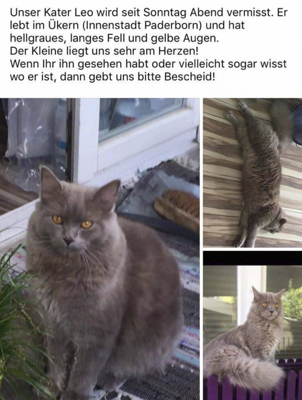 Paderborn – Meine Stadt!