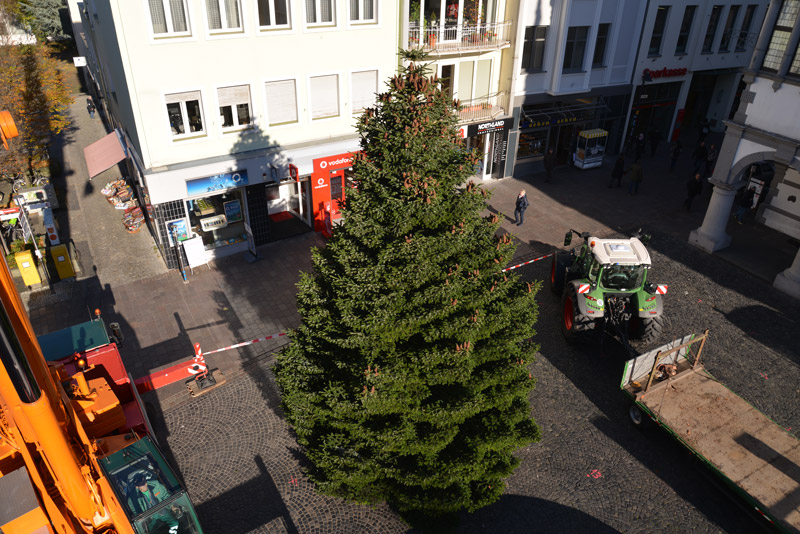Weihnachtsbaum Aufbau in Paderborn 2016