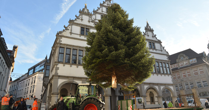 Weihnachtsbaum Paderborn 2016