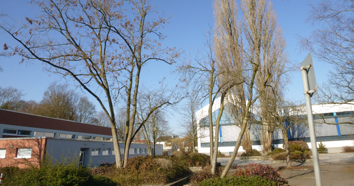 Residenzbad Paderborn Bäume gefällt