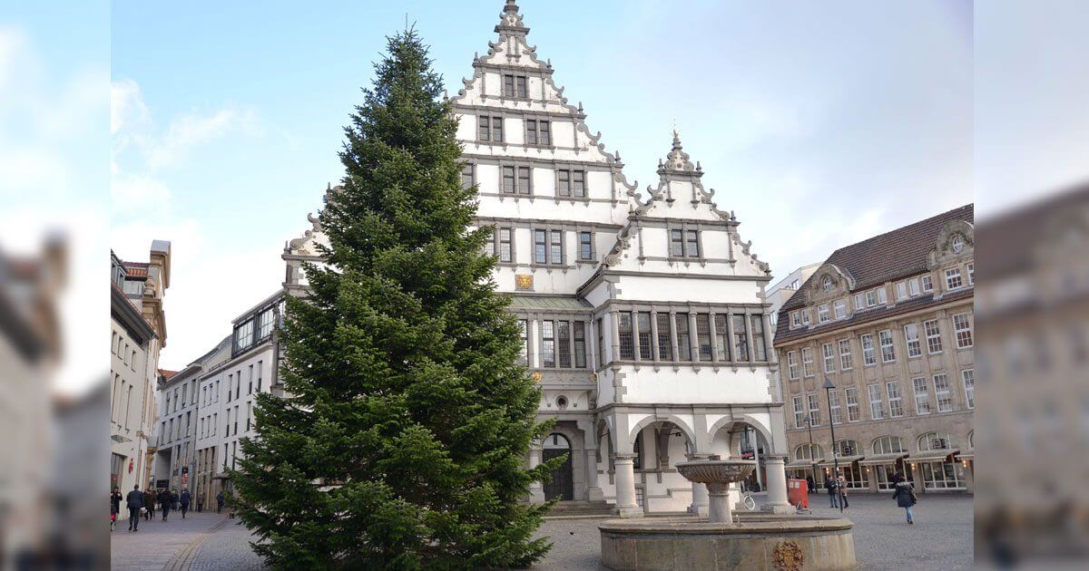 Weihnachtsbaum auf dem Rathausplatz Paderborn 2017